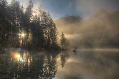 Reflection of trees in lake against sky