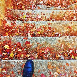 Low section of person standing on autumn leaves