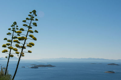 Scenic view of sea against clear blue sky