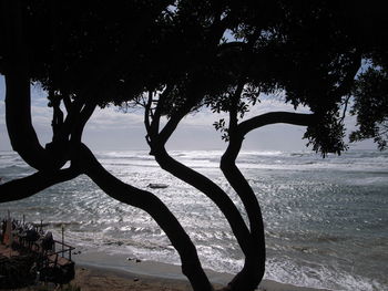 Silhouette trees on beach against sky