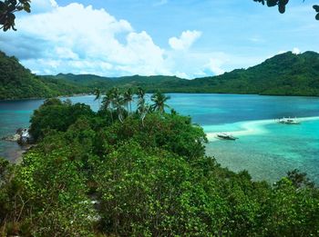 High angle view of trees by sea against sky