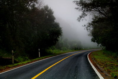 Country road amidst trees during rainy season