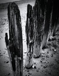 Wooden posts on beach