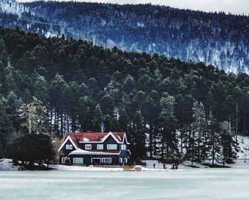 House amidst trees and buildings during winter