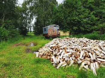 Stack of stones on field in forest