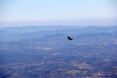 Bird flying over mountain range against sky