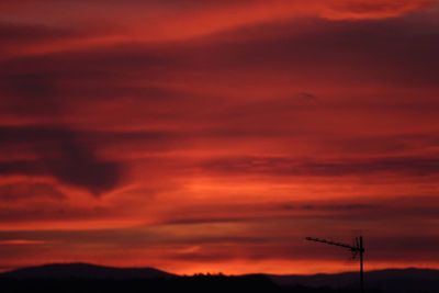 Low angle view of silhouette orange sky