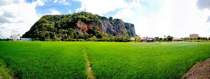 Scenic view of field against sky