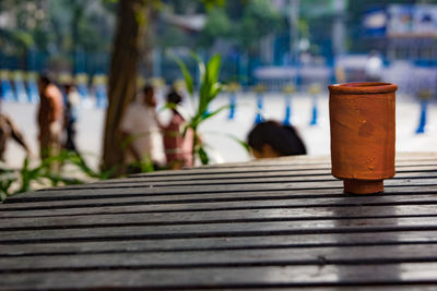 Close-up of potted plant on table