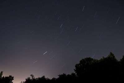 Low angle view of silhouette trees against sky at night