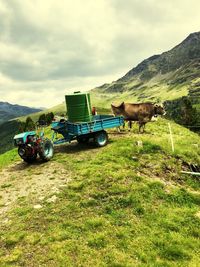 View of horse cart on field against sky