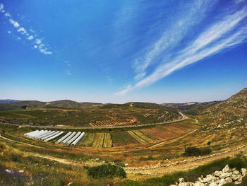 Scenic view of agricultural field against blue sky