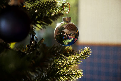 Close-up of christmas decoration hanging on tree