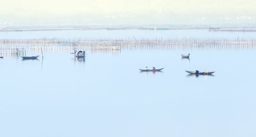 Sailboats in sea against sky