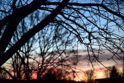 Low angle view of silhouette bare trees against sky at sunset