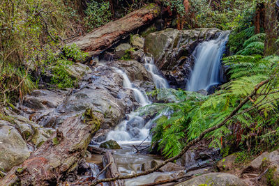 Scenic view of waterfall in forest