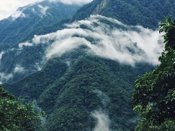 High angle view of forest mountains