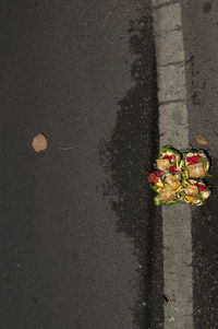 High angle view of rose plant on street