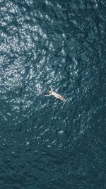 High angle drone view of person swimming in sea