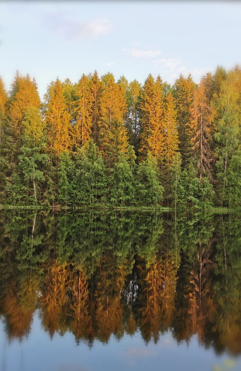 SCENIC VIEW OF LAKE DURING AUTUMN