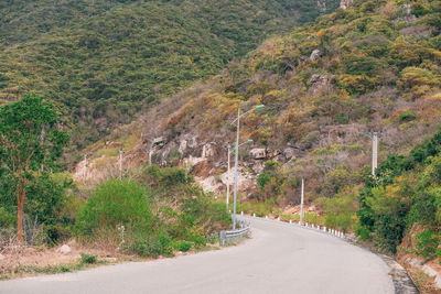 Road amidst trees and plants