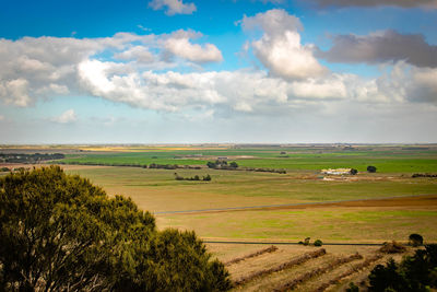 Scenic view of agricultural field against sky