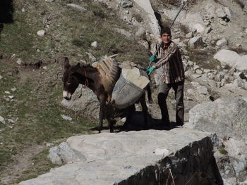 Horse standing on rock