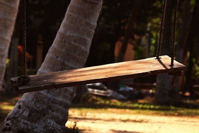 Close-up of wooden tree trunk