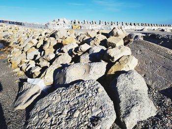 Shadow of lizard on rock at beach against sky