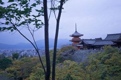 architecture