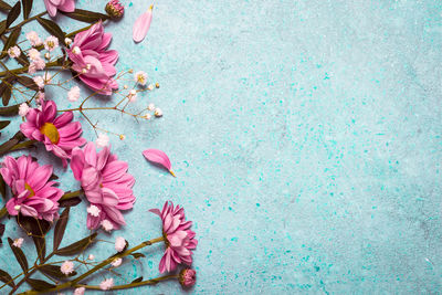 High angle view of pink cherry blossoms