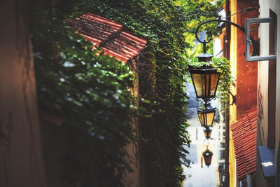 Low angle view of illuminated street light against building