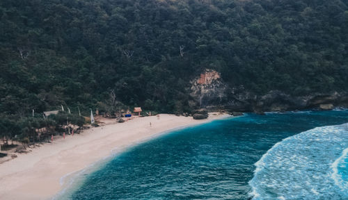 Scenic view of sea against trees