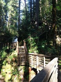 Wooden railing in forest