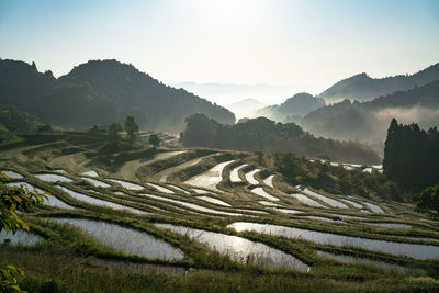 Scenic view of agricultural field against sky