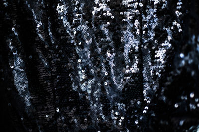 Close-up of icicles on tree trunk