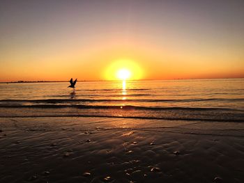 Silhouette bird flying over sea against sky during sunset