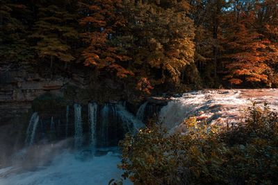 Scenic view of waterfall in forest during autumn