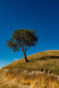 Tree on field against clear blue sky