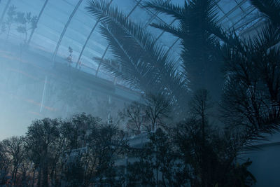 Low angle view of silhouette trees against sky during winter