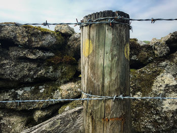 barbed wire