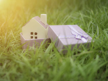 Close-up of toy on field