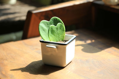 Potted plant with the love shaped leaf