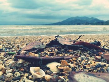 Close-up of pebbles on beach against sky