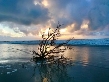 Scenic view of sea against sky during sunset