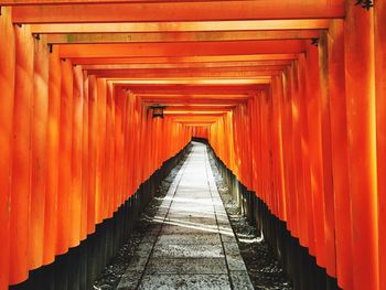 Torii gates leading towards shrine
