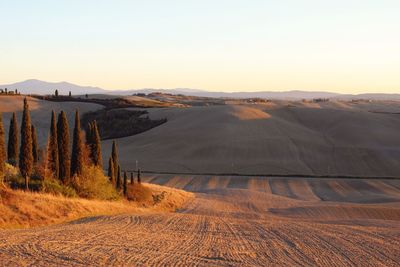 Scenic view of landscape against clear sky