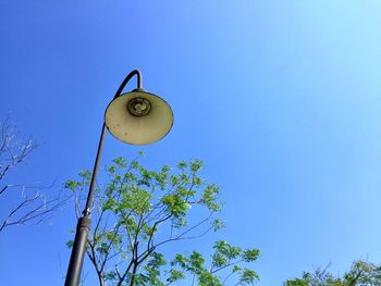 Low angle view of street light against sky