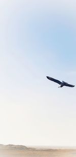 Airplane flying over sea against clear sky