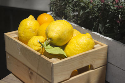 Close-up of fruits in basket